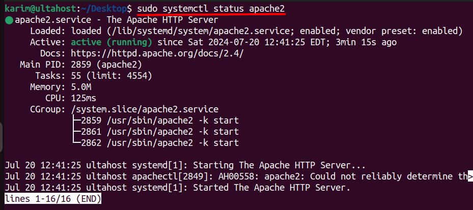 apache2 status