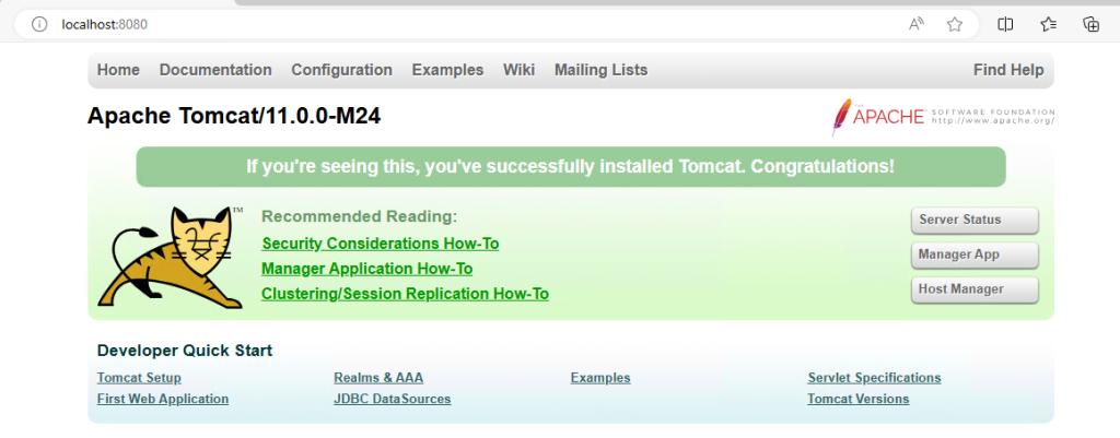 tomcat interface