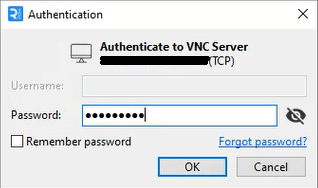 VNC server