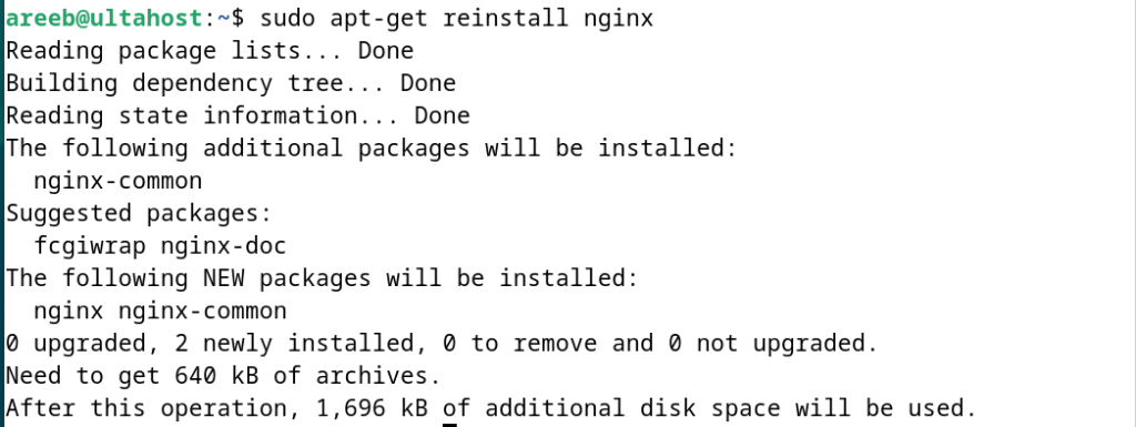 debian nginx