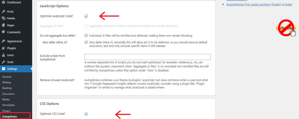 Autoptimize setting