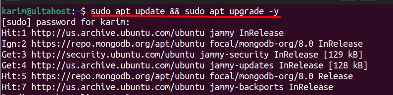 sudo-apt-update