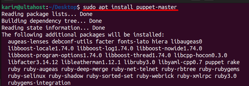 install puppet master