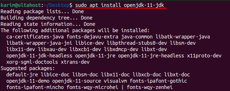 install openjdk11