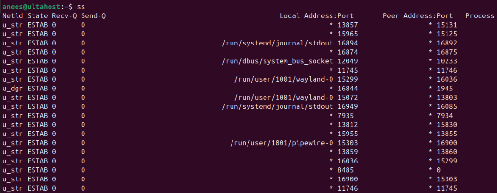 ss command basic usage