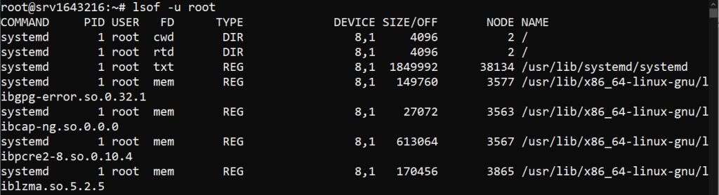 lsof username