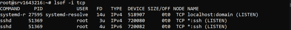 lsof tcp