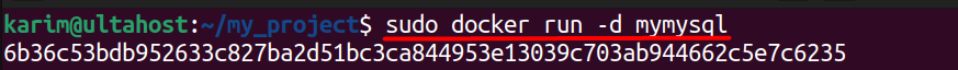 docker run mysql