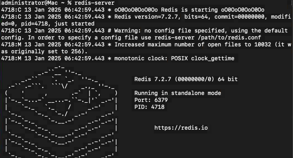 redis server