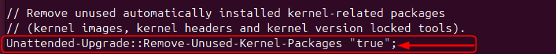 Remove the Unused Kernel-Packages
