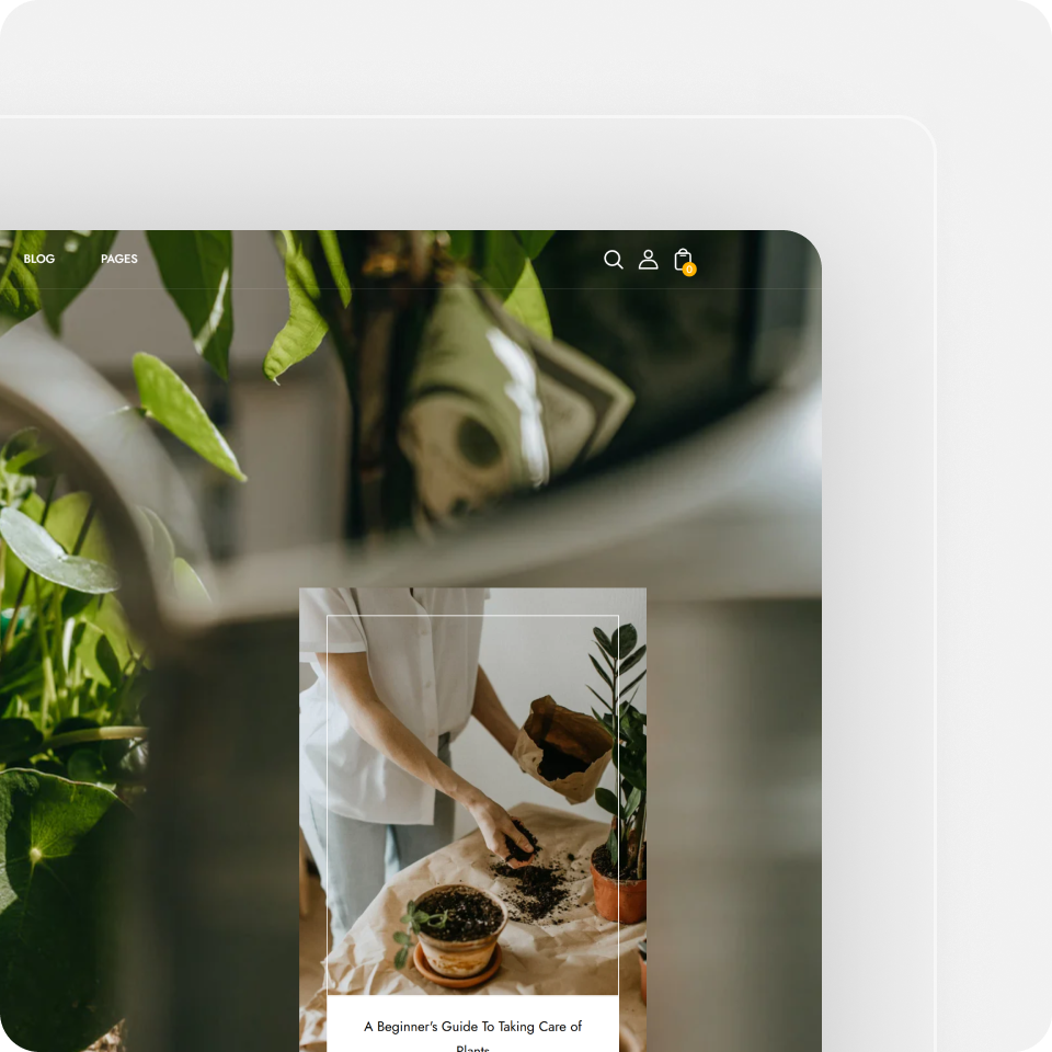 feature